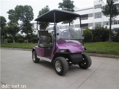  江苏德士隆电动高尔夫球车
